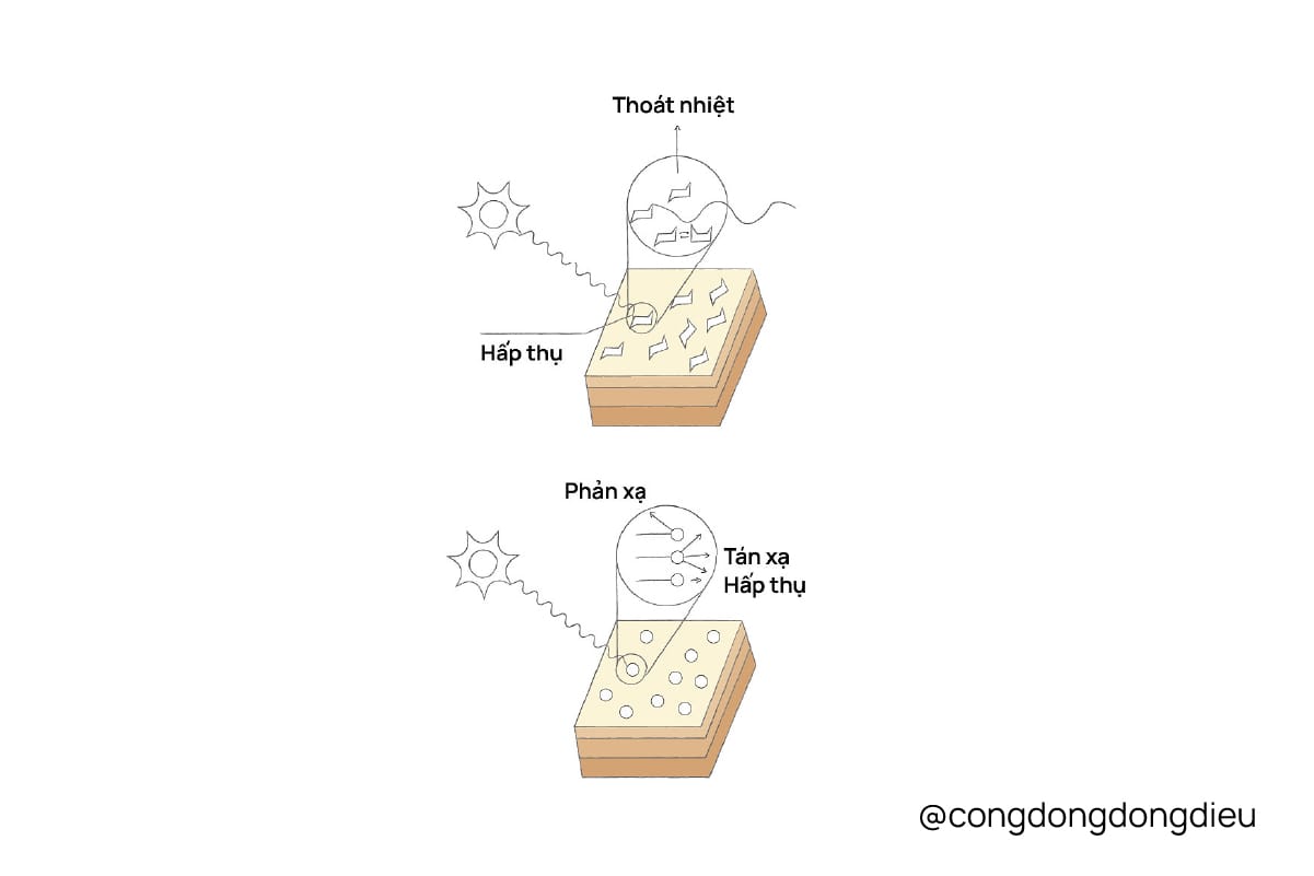 UV camera có dùng để đánh giá kem chống nắng được không?