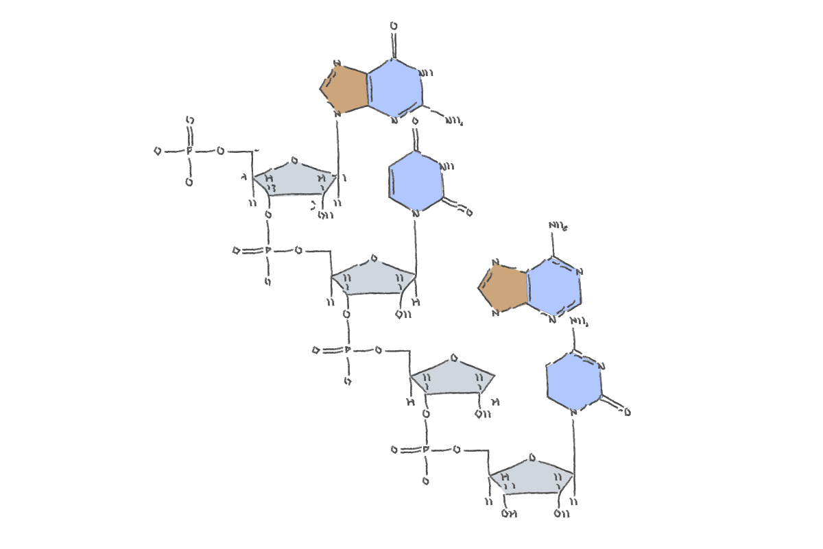 Cung cấp chất liệu DNA cho tế bào: Xu hướng mới trong tăng cường sinh học với polynucleotide