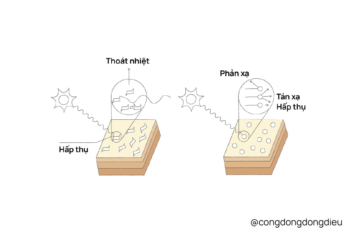 chống oxy hoá, kem chống nắng