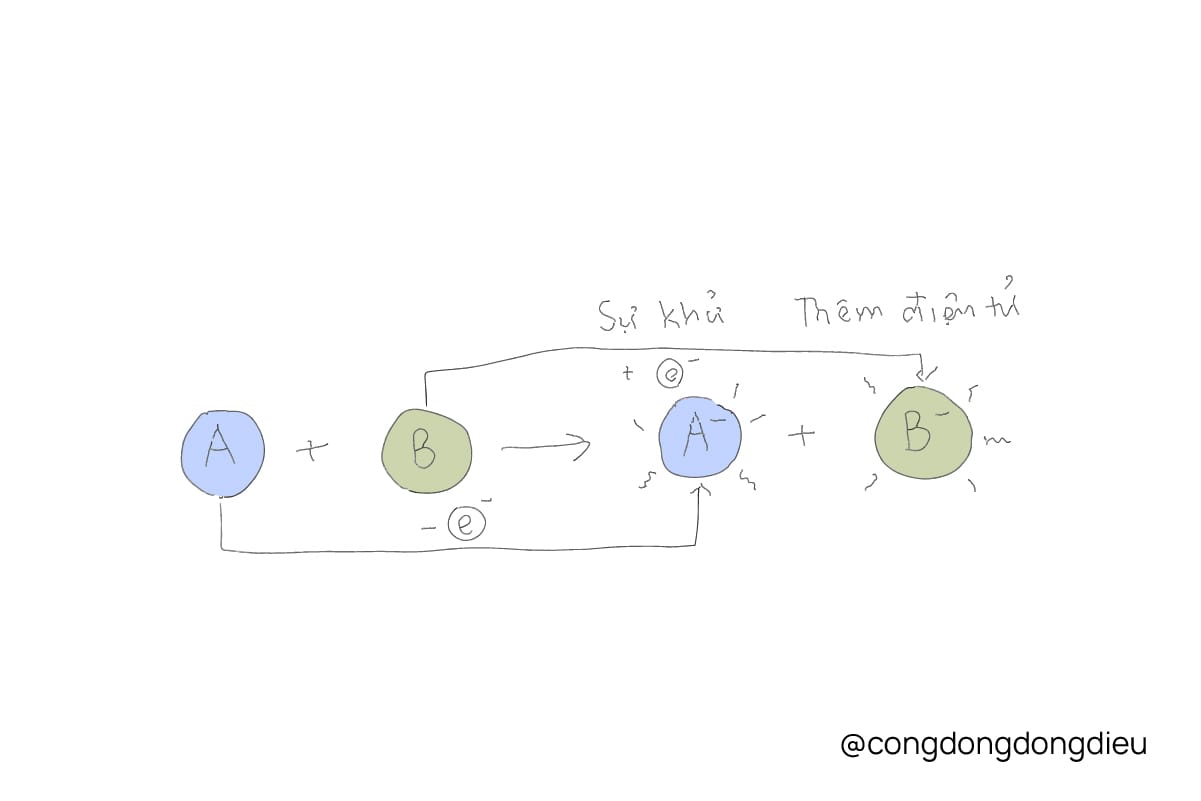 Chất chống oxy hoá: Những "vệ sĩ" vi mô