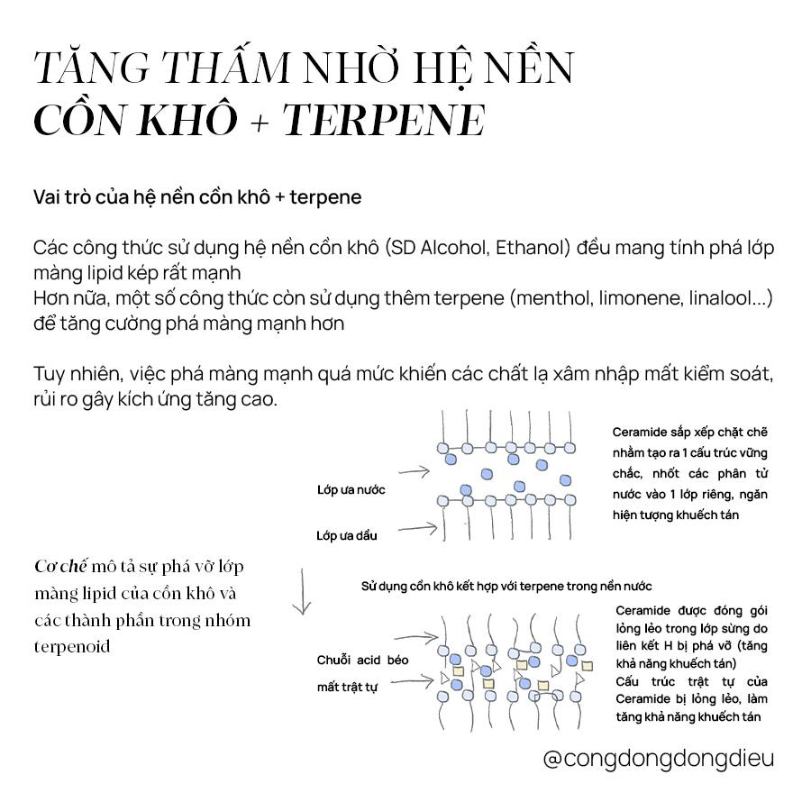 Cơ chế hoạt động của BHA nền cồn khô + terpene