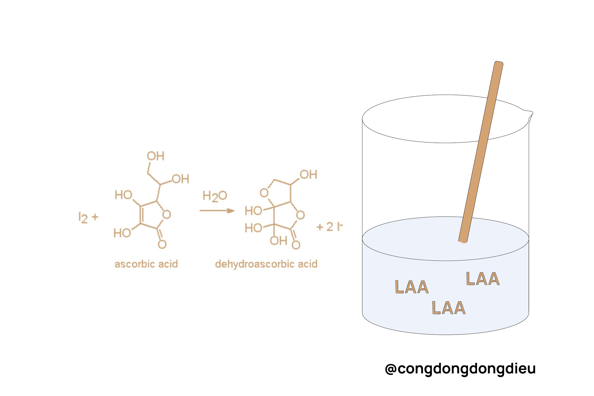 Thử vitamin C bằng dung dịch iodine: Khoa học tại gia hay “lùa gà” công nghệ?