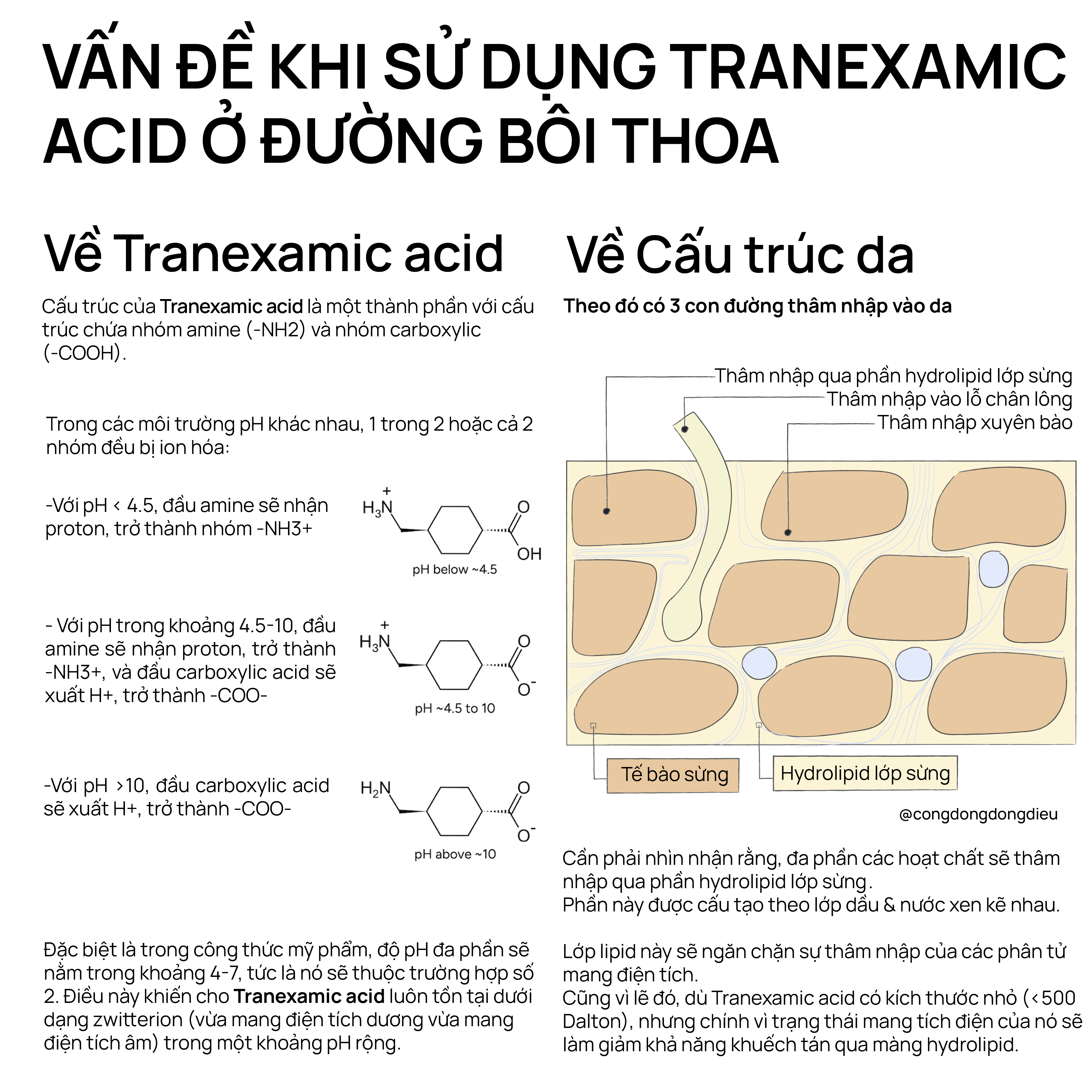 Vấn đề khi sử dụng Tranexamic acid ở đường bôi thoa