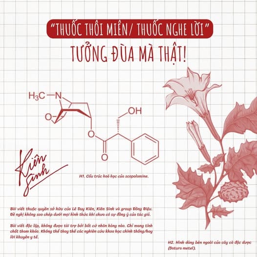 "THUỐC THÔI MIÊN/ THUỐC NGHE LỜI": TƯỞNG ĐÙA MÀ THẬT!