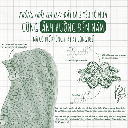 KHÔNG PHẢI TIA UV: ĐÂY LÀ 2 YẾU TỐ NỮA CŨNG ẢNH HƯỞNG ĐẾN NÁM MÀ CÓ THỂ KHÔNG PHẢI AI CŨNG BIẾT
