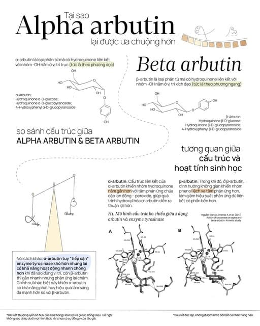Tại sao alpha arbutin lại được ưa chuộng hơn so với beta arbutin dù alpha arbutin lại có giá thành đắt hơn?
