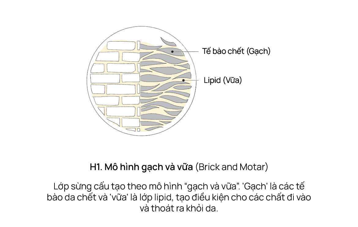 Mô hình gạch và vữa "brick and mortar"