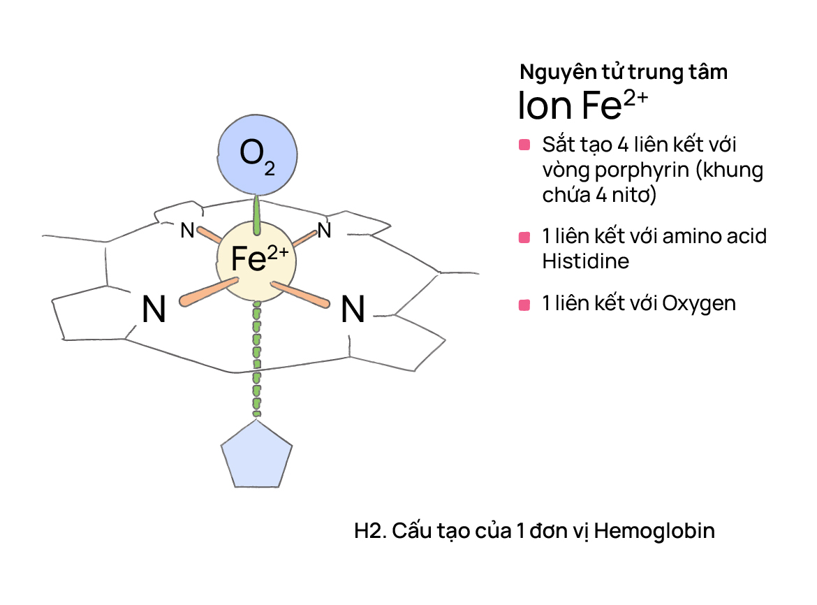 Sao có những sản phẩm chống oxy hóa rồi, mà lại có thêm những sản phẩm cấp oxy cho da nữa?