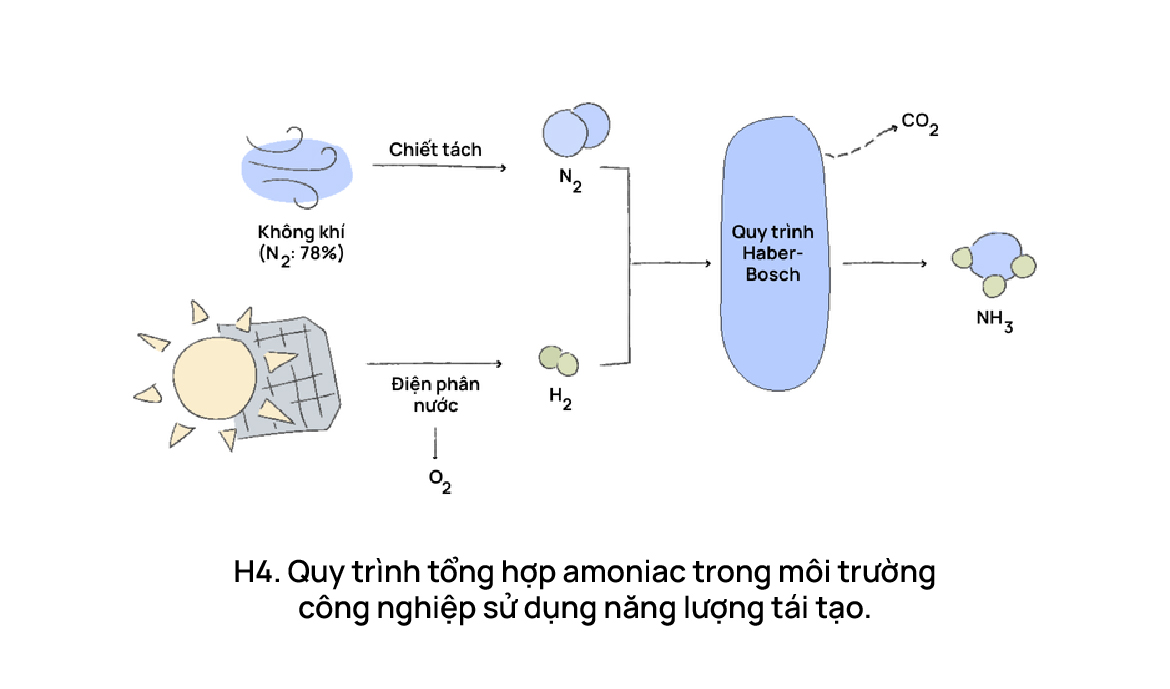 Urea và câu chuyện “nước thánh” trong làm đẹp