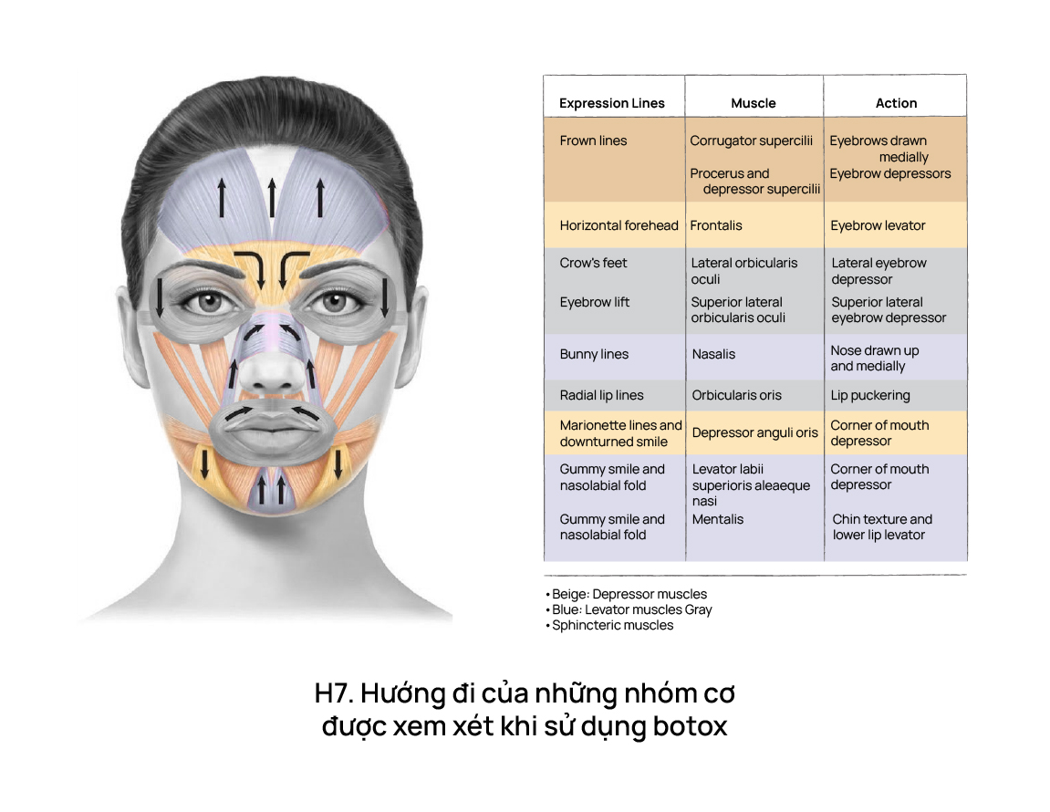 Những điều cần biết khi sử dụng botox (botulinum toxin)?