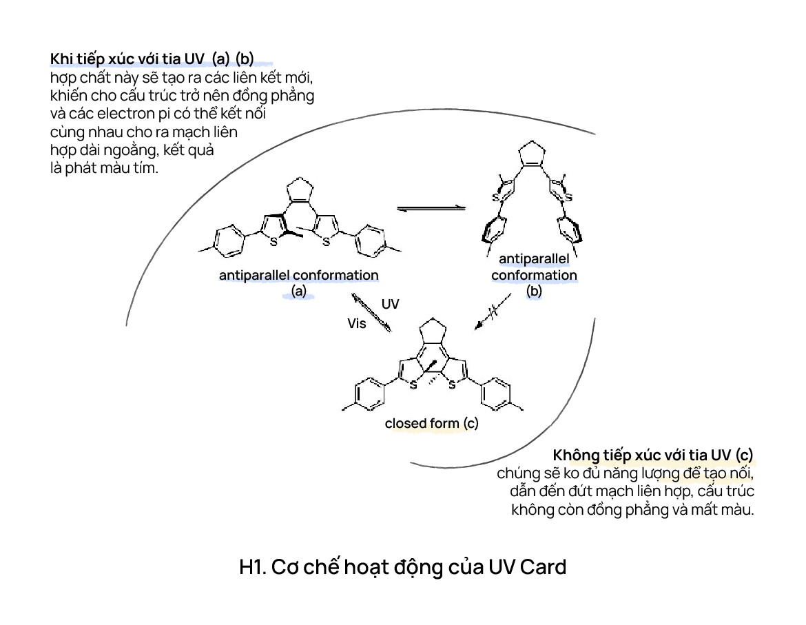 UV card có đủ tin cậy để tuyên án cho kem chống nắng hay không?